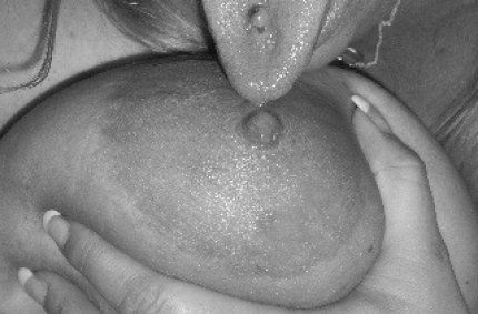 schoene muschies, blasen und lecken